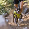 Ruffwear® Trail Runner™ шлейка-жилет для бега 